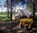 Glamping_Namiot_4_osoby_Male_Dolomity_3